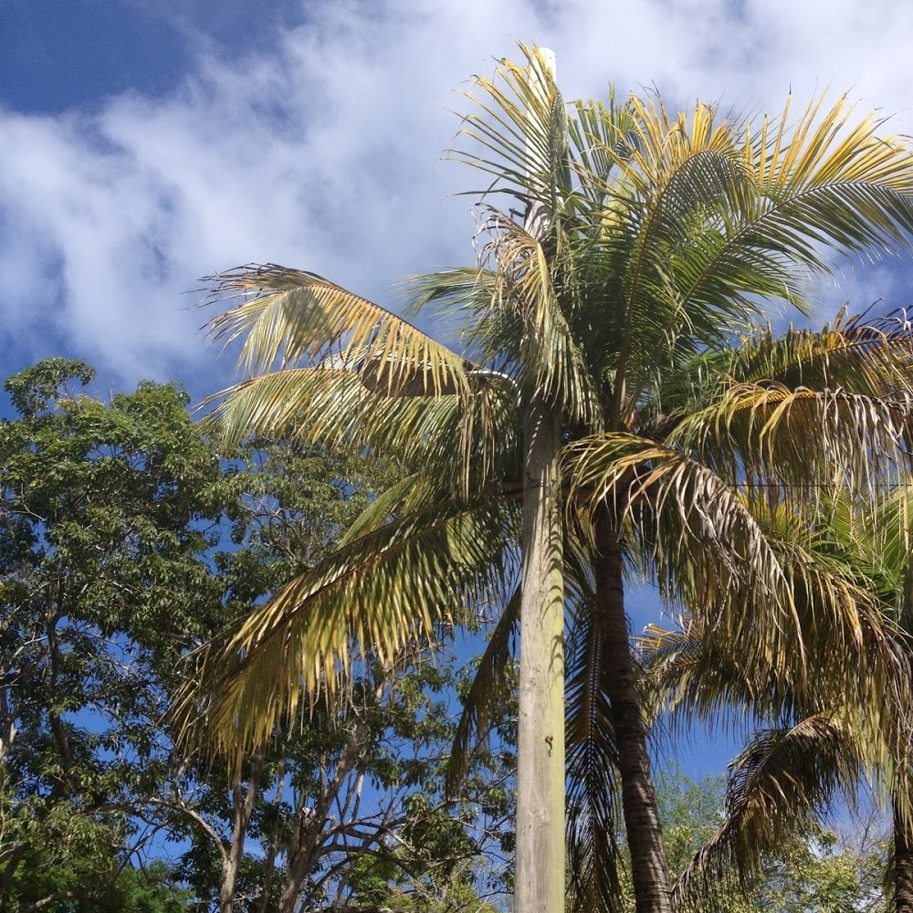 Meet your Posher, Kaylee